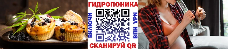 KRAKEN ссылка  Зубцов  Cannafood марихуана 