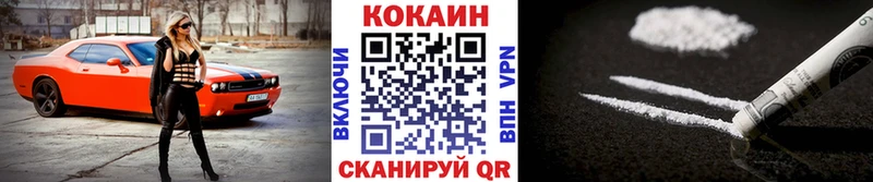 Cocaine FishScale  где можно купить наркотик  Зубцов 