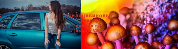 гидропоника Вязники
