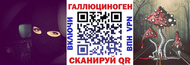 даркнет как зайти  даркнет сайт  Зубцов  Псилоцибиновые грибы мухоморы 